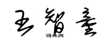 朱錫榮王智童草書個性簽名怎么寫