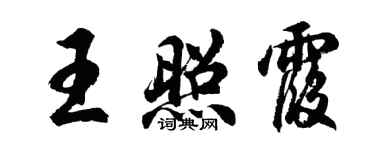 胡問遂王照霞行書個性簽名怎么寫