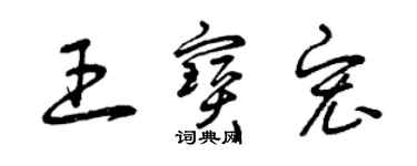 曾慶福王寶宏草書個性簽名怎么寫