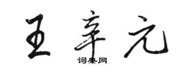 駱恆光王辛元行書個性簽名怎么寫