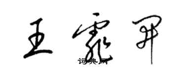 梁錦英王霏開草書個性簽名怎么寫