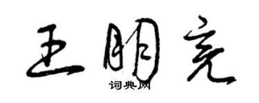 曾慶福王朋亮草書個性簽名怎么寫