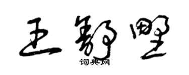 曾慶福王舒野草書個性簽名怎么寫