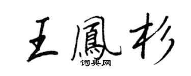 王正良王鳳杉行書個性簽名怎么寫