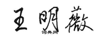 駱恆光王明薇行書個性簽名怎么寫