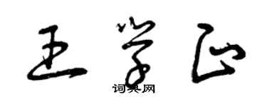 曾慶福王學正草書個性簽名怎么寫