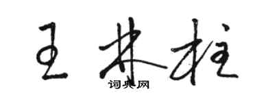 駱恆光王林柱草書個性簽名怎么寫