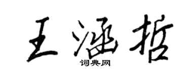 王正良王涵哲行書個性簽名怎么寫