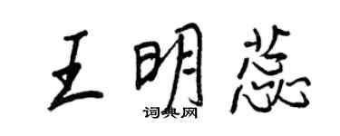 王正良王明蕊行書個性簽名怎么寫