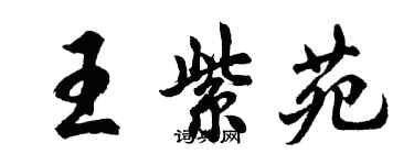 胡問遂王紫苑行書個性簽名怎么寫