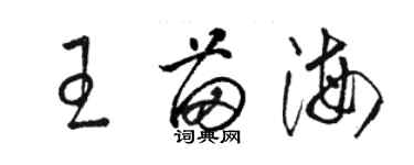 駱恆光王苗海草書個性簽名怎么寫