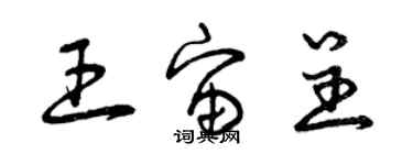 曾慶福王宙呈草書個性簽名怎么寫