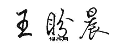 駱恆光王盼晨行書個性簽名怎么寫