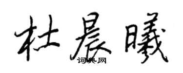 王正良杜晨曦行書個性簽名怎么寫