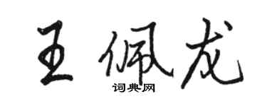 駱恆光王佩龍行書個性簽名怎么寫