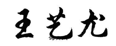 胡問遂王藝尤行書個性簽名怎么寫