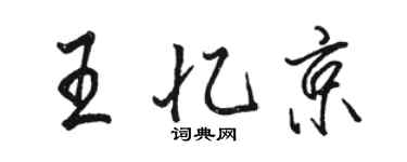 駱恆光王憶京行書個性簽名怎么寫