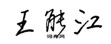 王正良王能江行書個性簽名怎么寫