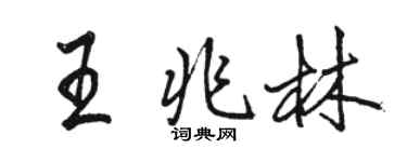 駱恆光王兆林行書個性簽名怎么寫