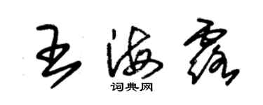 朱錫榮王海露草書個性簽名怎么寫