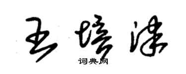 朱錫榮王培津草書個性簽名怎么寫