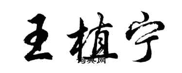 胡問遂王植寧行書個性簽名怎么寫