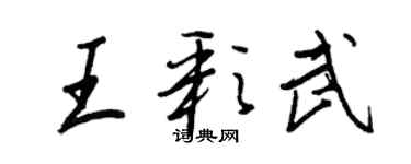 王正良王彩武行書個性簽名怎么寫