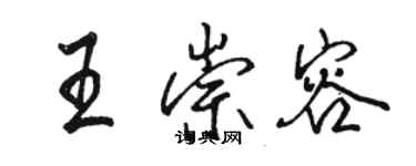 駱恆光王崇容行書個性簽名怎么寫