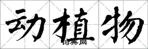 翁闓運動植物楷書怎么寫