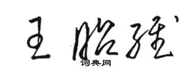 駱恆光王昭維草書個性簽名怎么寫