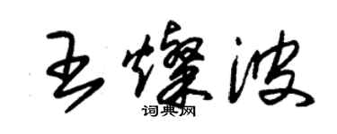 朱錫榮王燦波草書個性簽名怎么寫