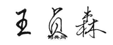 駱恆光王貞森行書個性簽名怎么寫