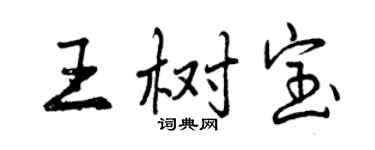 曾慶福王樹寶行書個性簽名怎么寫
