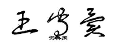 曾慶福王守異草書個性簽名怎么寫