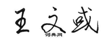 駱恆光王文或行書個性簽名怎么寫