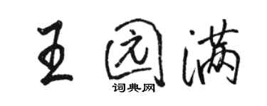 駱恆光王園滿行書個性簽名怎么寫