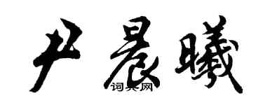 胡問遂尹晨曦行書個性簽名怎么寫