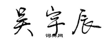 曾慶福吳宇辰行書個性簽名怎么寫