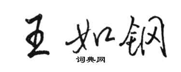 駱恆光王如鋼行書個性簽名怎么寫