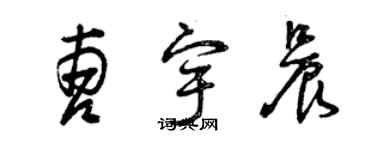 曾慶福曹宇晨草書個性簽名怎么寫