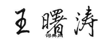 駱恆光王曙濤行書個性簽名怎么寫