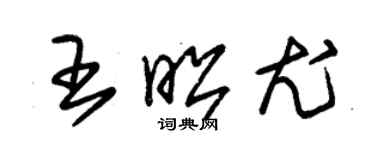 朱錫榮王昭尤草書個性簽名怎么寫