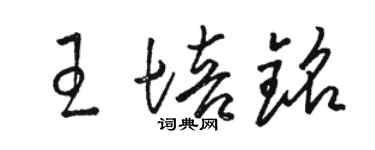 駱恆光王培銘草書個性簽名怎么寫
