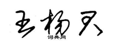 朱錫榮王楊君草書個性簽名怎么寫