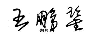 朱錫榮王鵬鑒草書個性簽名怎么寫