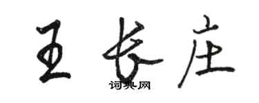 駱恆光王長莊行書個性簽名怎么寫