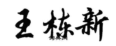 胡問遂王棟新行書個性簽名怎么寫