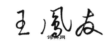駱恆光王鳳友草書個性簽名怎么寫