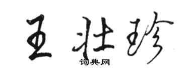 駱恆光王壯珍行書個性簽名怎么寫