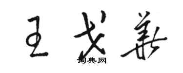 駱恆光王戈華草書個性簽名怎么寫